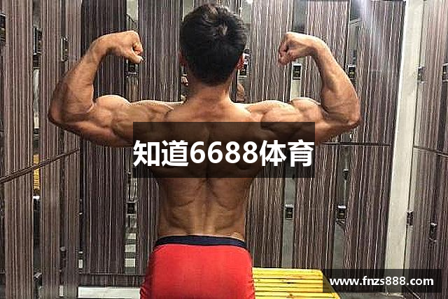 知道6688体育